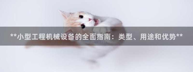 九游会登录网址多少