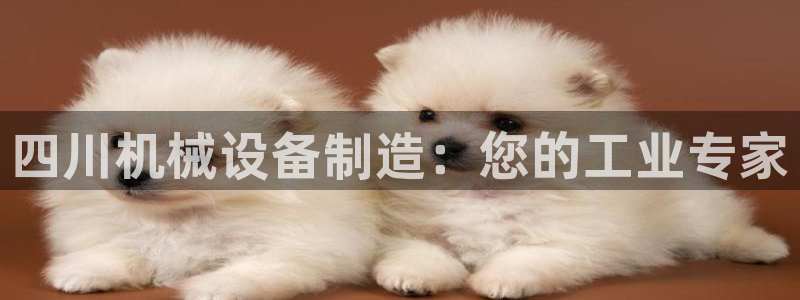 九游会AGapp下载