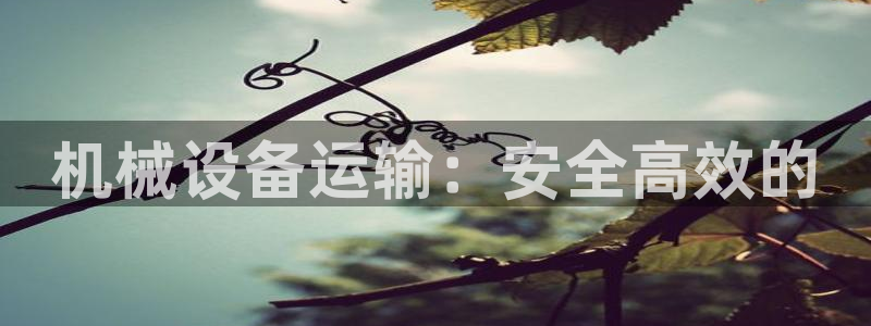 九游会怎么提币