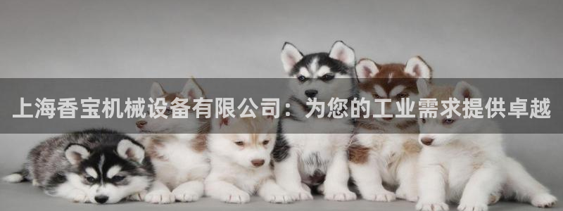九游会ag登陆