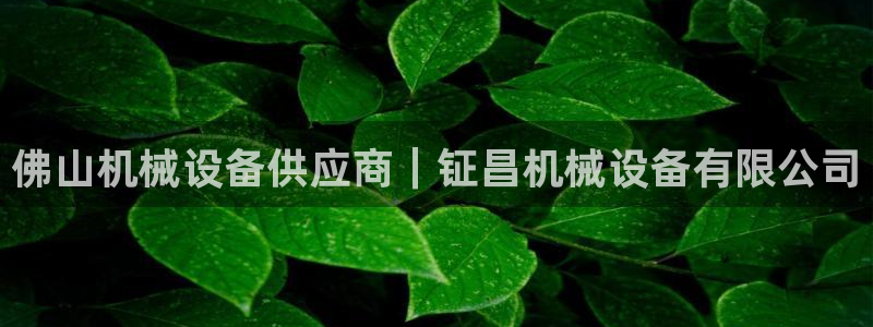 九游会集团 | 首页