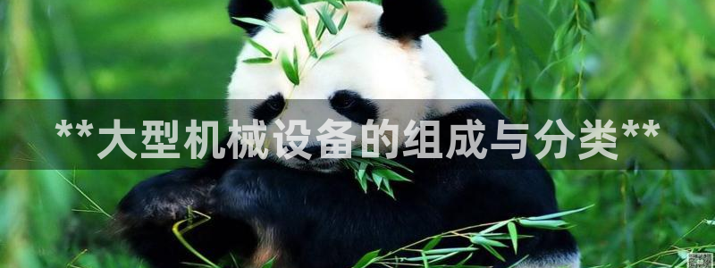 九游会官方网站中心