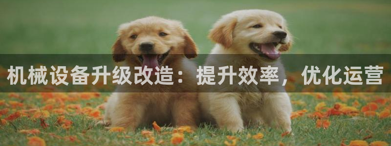 九游会ag登陆