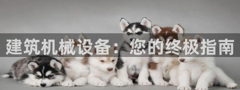 j9九游会官方网站国际