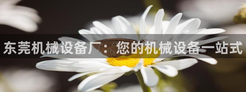 ag8九游会登入