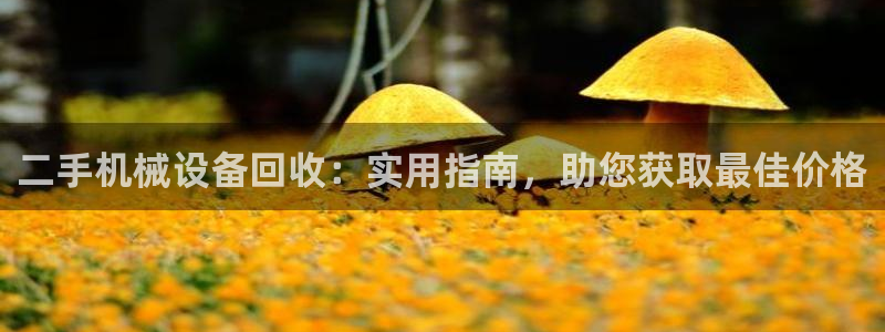 ag久游