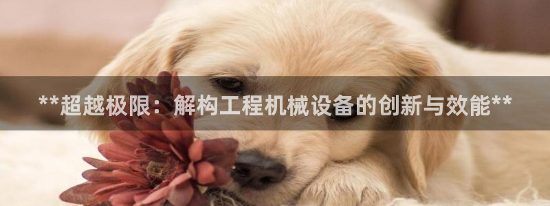 九游会app下载版官网正版手游
