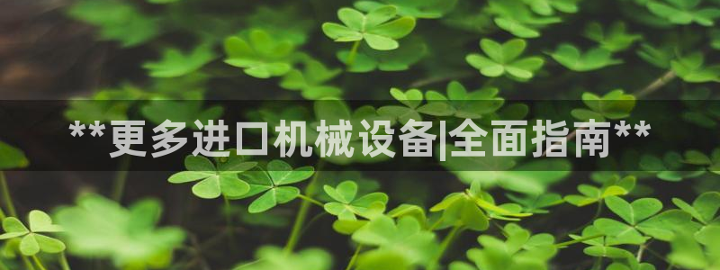 九游会官网网址是多少
