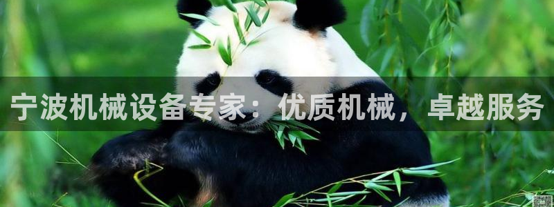 九游会员官网真人游戏第一品牌