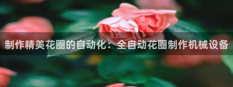 j9九游会官网入口