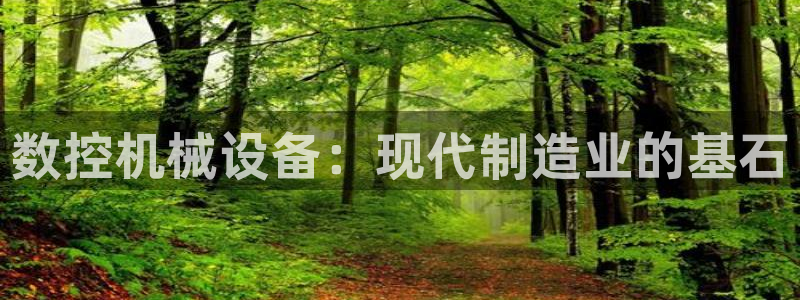 九游会国际厅
