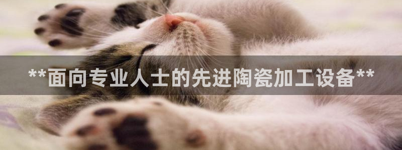 九游会直营