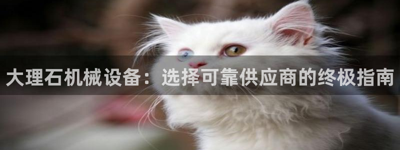 九游会游戏网址
