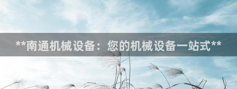 ag8九游会