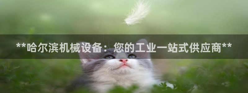 九游会官网ag旧版