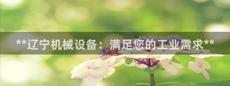 九游会ag老哥俱乐部入口