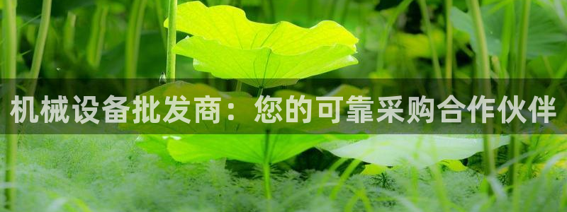 j9九游会官方网站