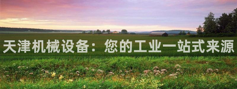 九游会中国入口嘛