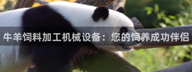 九游会官网首页入口