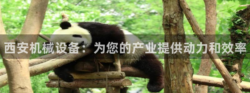 九游会网站打不开了