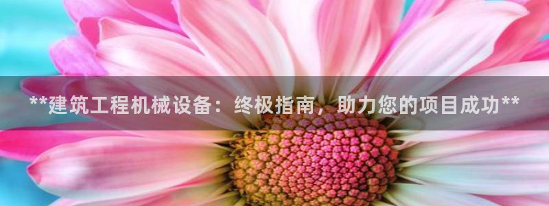 j9九游会导航