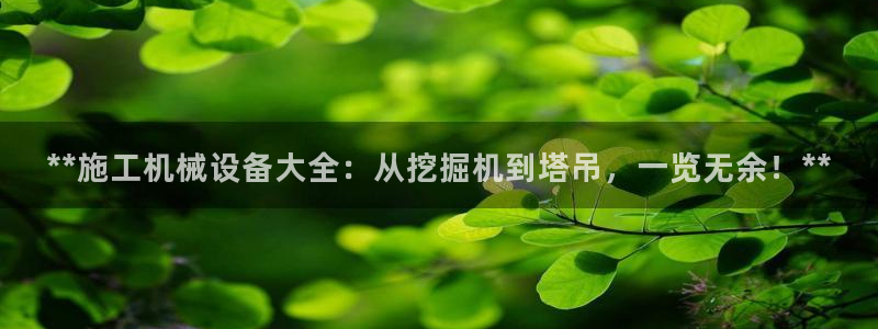 J9九游会-真人游戏第一品牌
