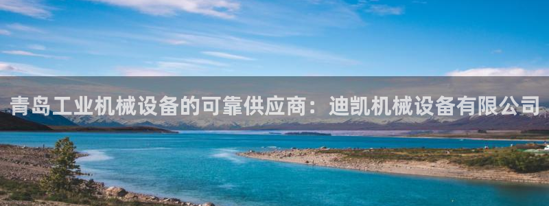 九游会的网址是多少