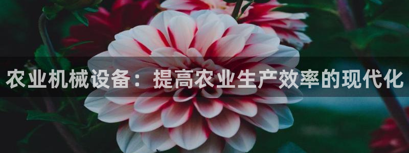 j9九游会ag8手机aPP