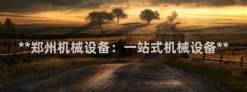 九游会集团新的选择