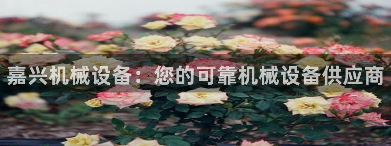 九游会ag官方网站在哪