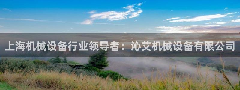 九游会集团货币