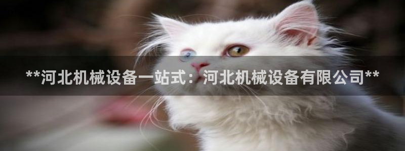 九游会是什么平台