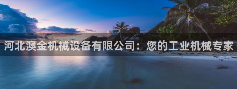 ag九游会官网网址