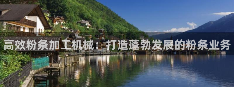 九游会ag网址大全专业版