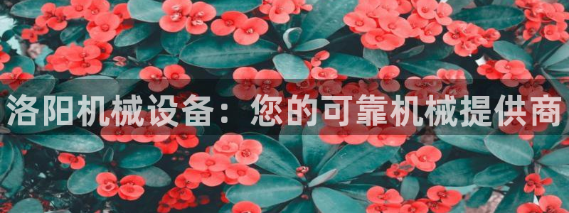 九游会官网在线