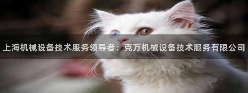 九游会网址是什么