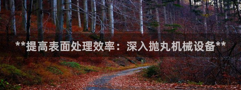 九游会app下载版官网正版安卓