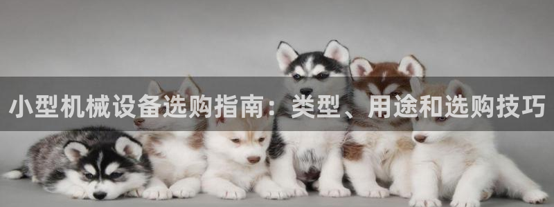 九游会平台app