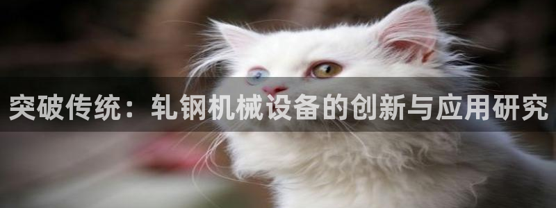 九游会官网网址是多少