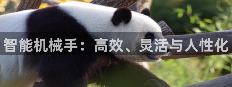 九游会官网登入