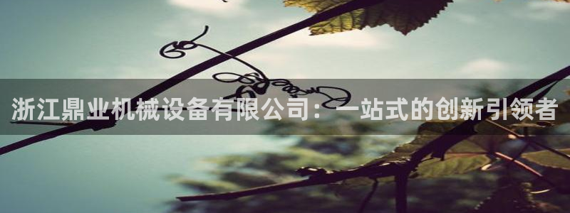 ag九游会官网网址