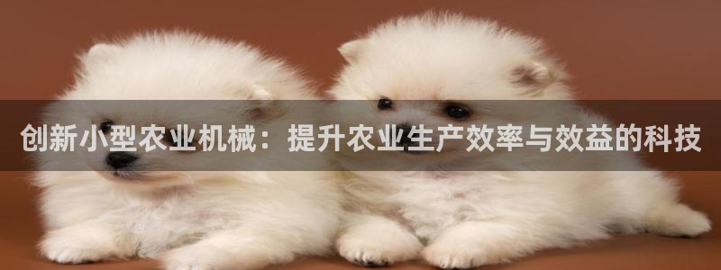 九游会官网登录首页