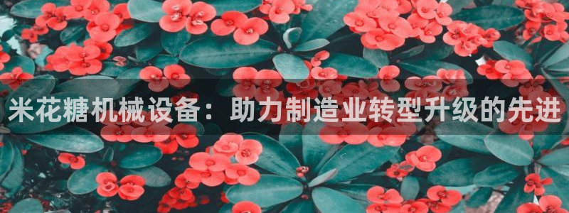 九游会在
