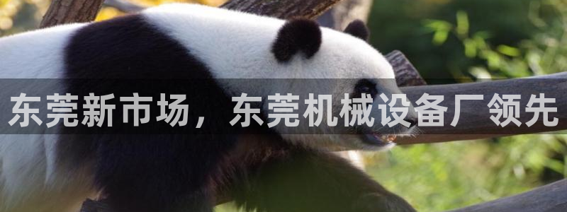 j9九游会游戏中国官方网站