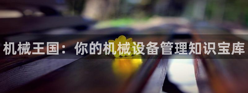 九游会平台最强