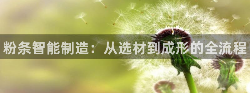 J9九游会能退款吗