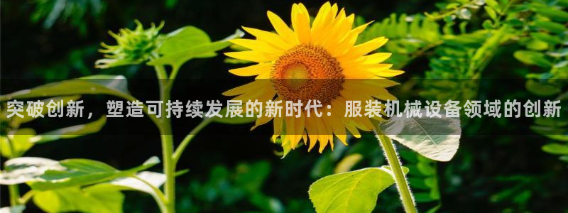 ag九游会集团