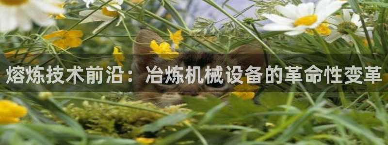 九游会集团新的选择