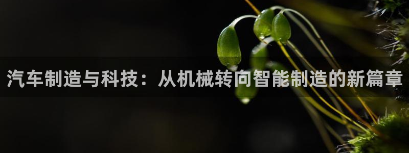 ag九游会j9j9