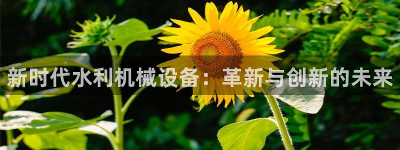 ag改九游会